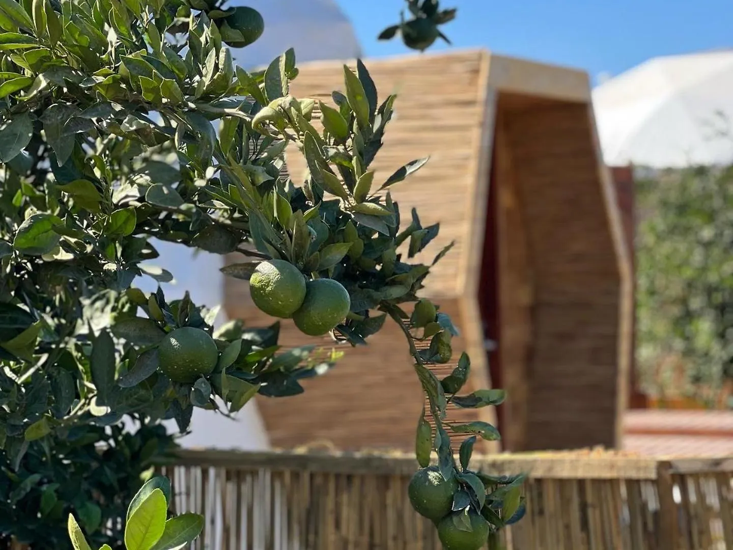 Mandalin Glamping Hotel Selcuk Turkey