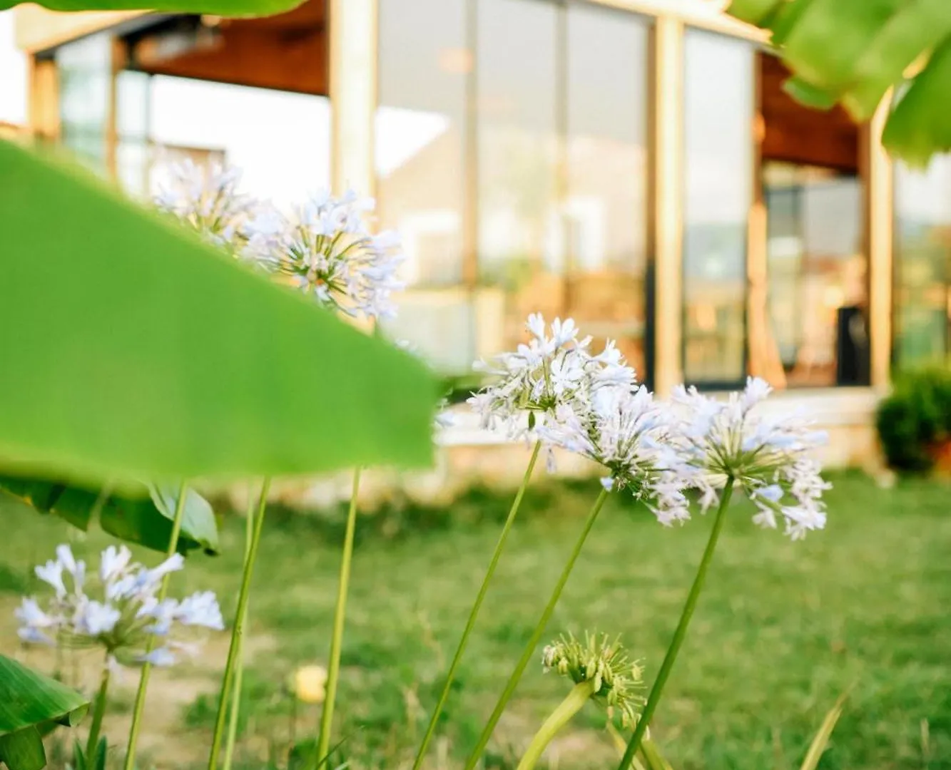 Mandalin Glamping Hotel Selcuk